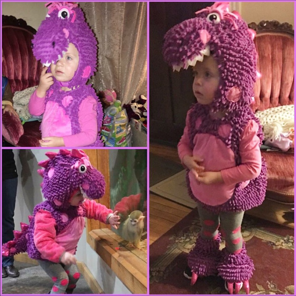 Toddler dinosaur costume